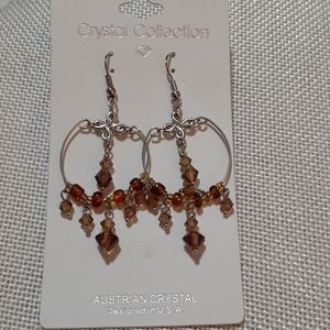 Crystal Collection Jewelry Earrings.